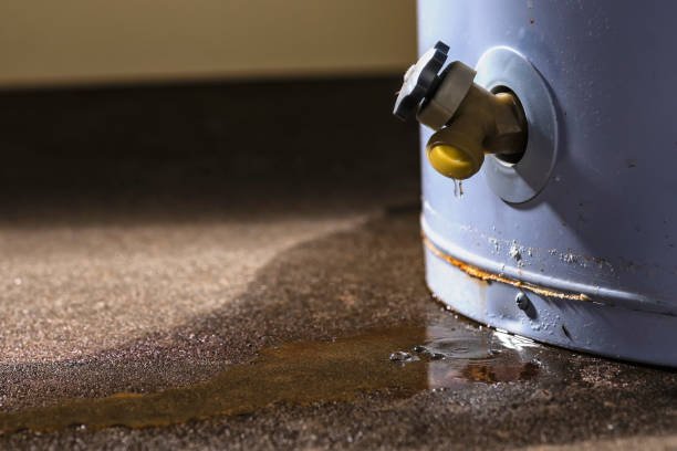Best Flood restoration services  in Vilonia, AR
