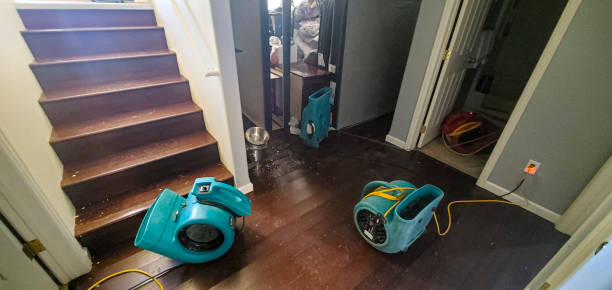 Best Water damage cleanup near me  in Vilonia, AR