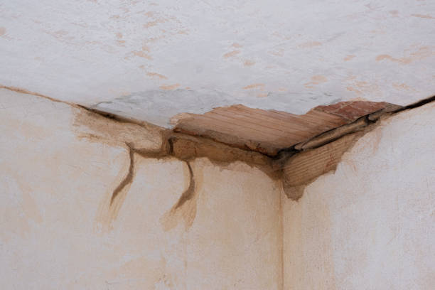 Best Commercial water damage restoration  in Vilonia, AR