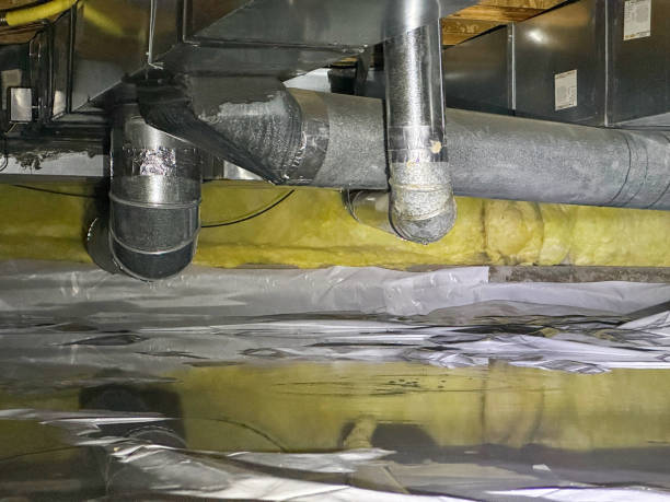 Best Professional water damage repair  in Vilonia, AR