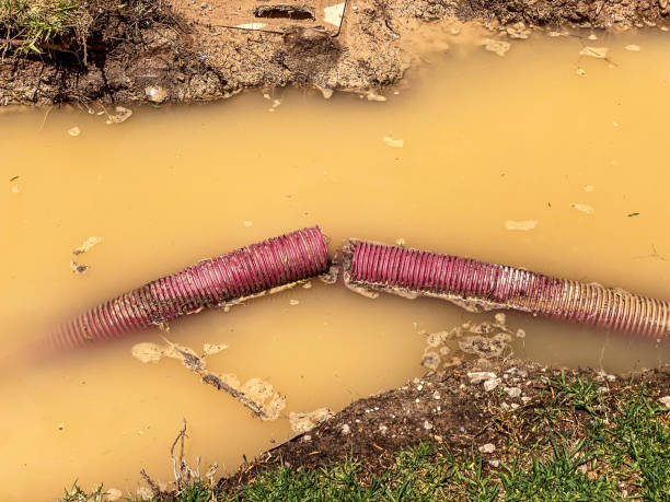 Best Flood restoration services  in Vilonia, AR